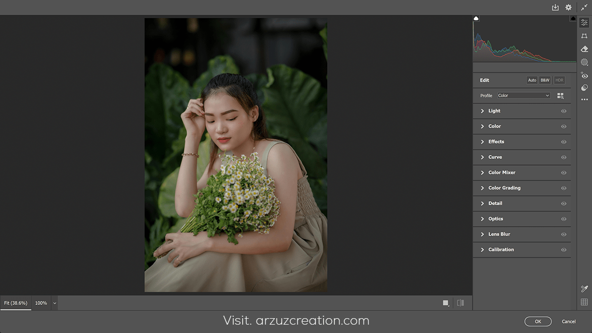 How to Use Camera Raw Filter in Photoshop 2024