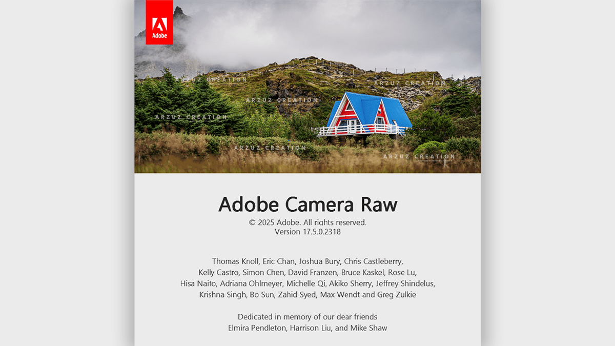 Why use the Camera Raw Filter for Professional Photo Editing?