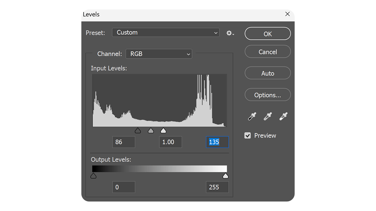 Adobe Photoshop 2026: Levels Using Outdoor Photo Editing