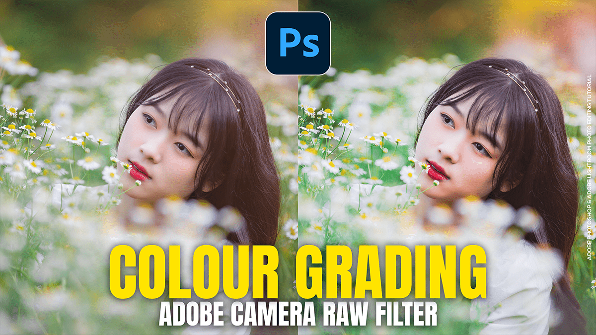 Colour Grading in Adobe Camera Raw Filter 18.1.1