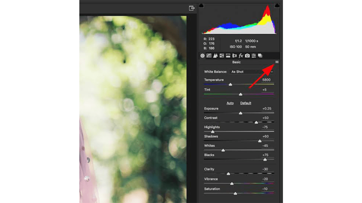 Install Camera Raw Presets Easily: Adobe Photoshop 2026