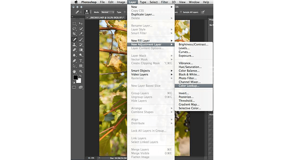 Colour Lookup Table: Use Professional Photo Editing 2026